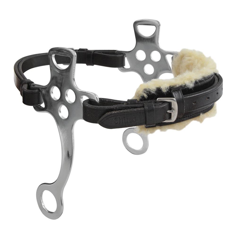 English Hackamore Brown