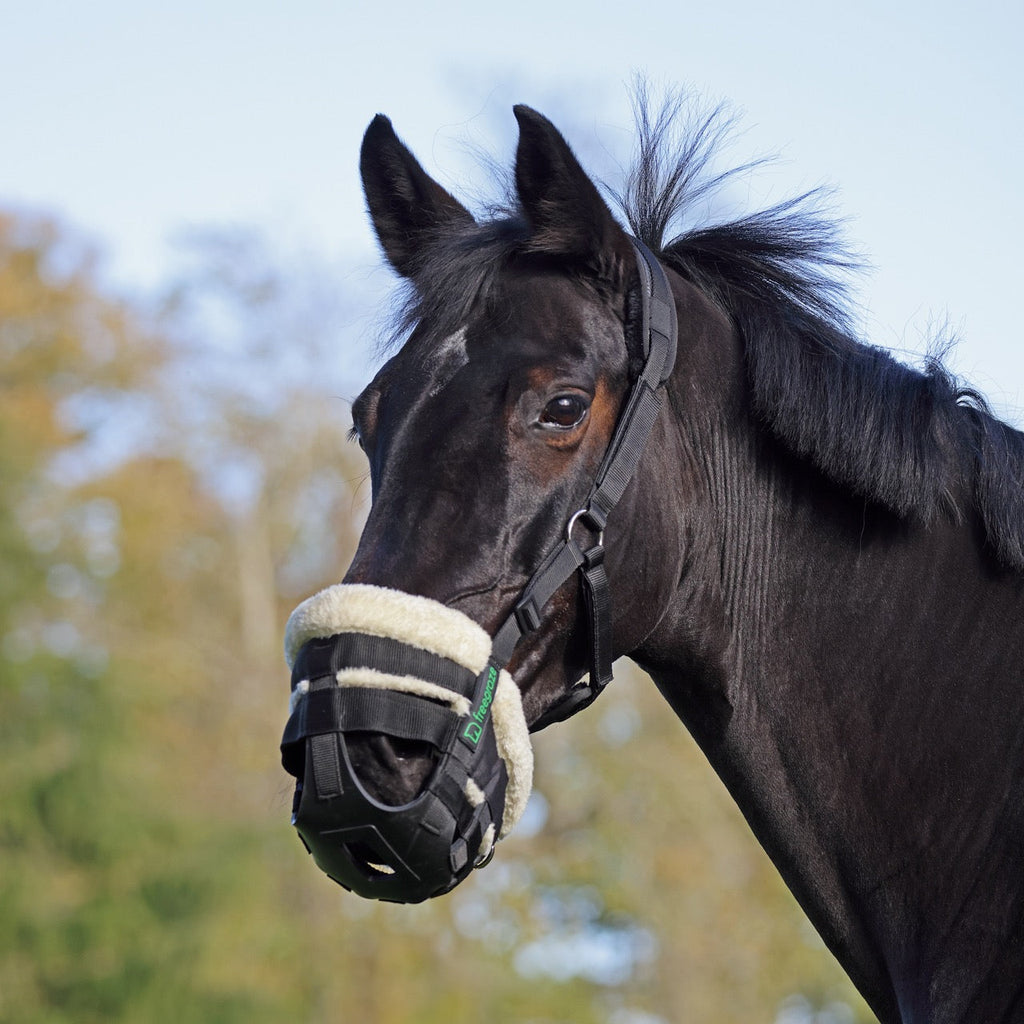 Freegraze Airflow Grazing Muzzle