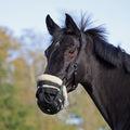 Freegraze Airflow Grazing Muzzle