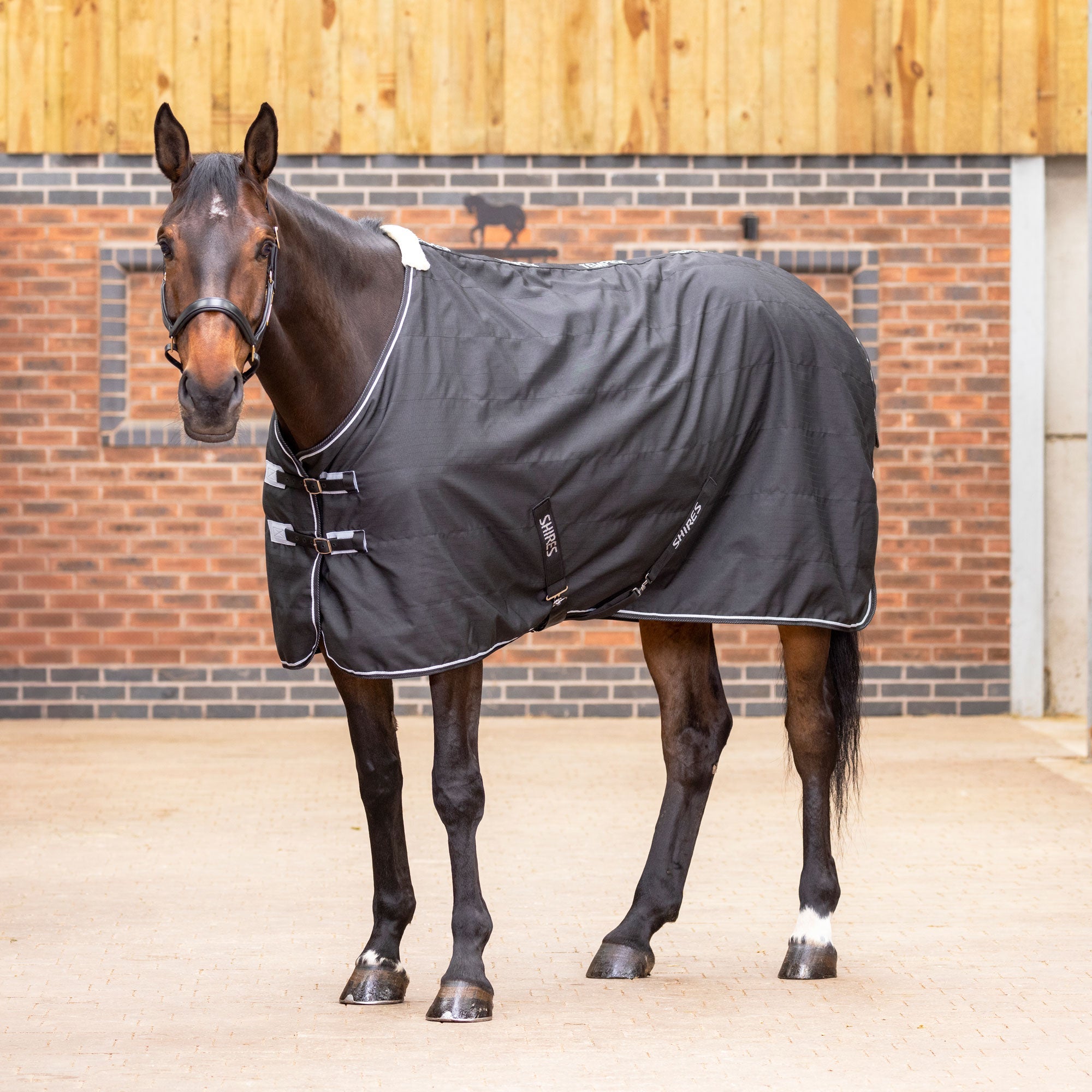 Tempest Original Stable Rug 0 g