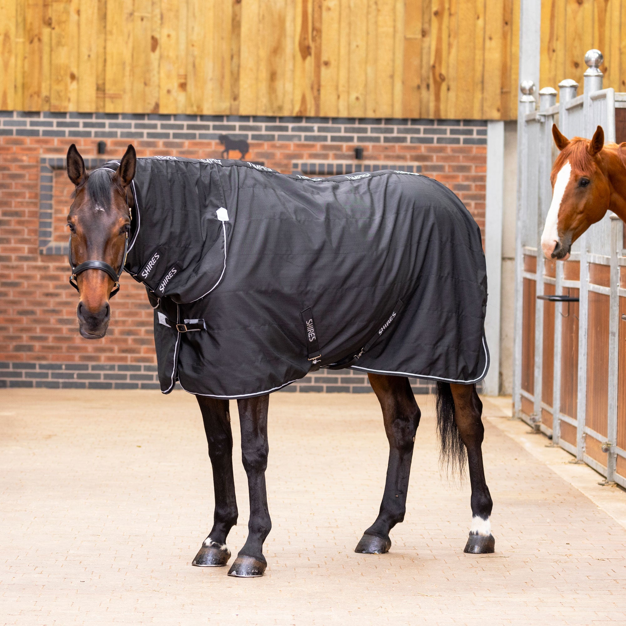 Tempest Original Stable Rug & Neck 0g