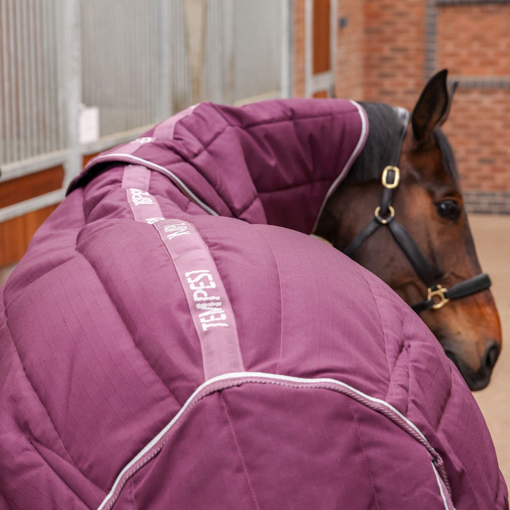 Tempest Original Stable Rug & Neck 300 g