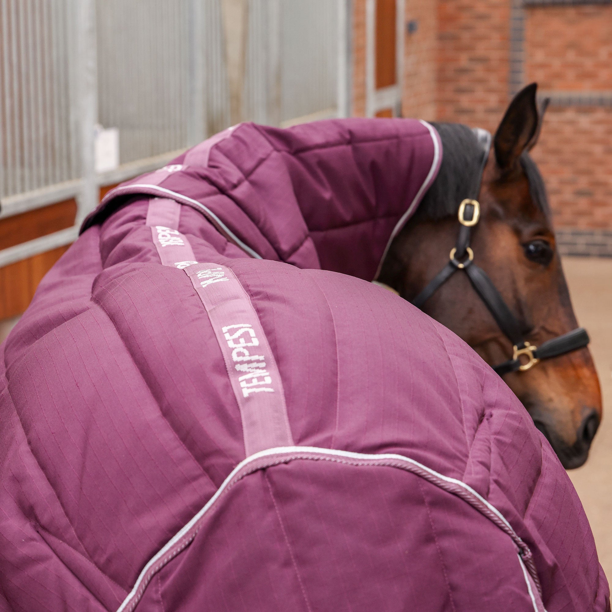 Tempest Original Stable Rug & Neck 300 g