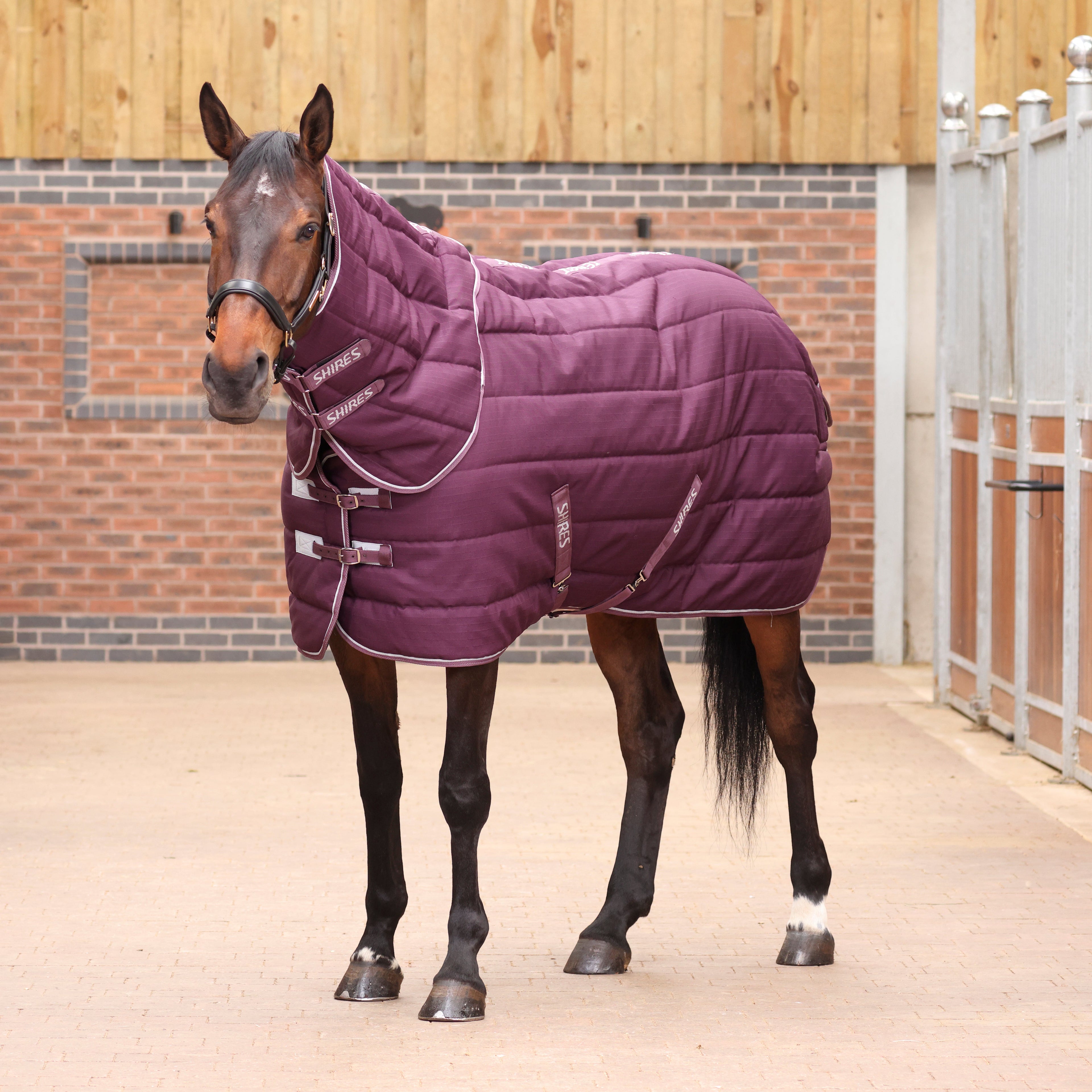 Tempest Original Stable Rug & Neck 300 g