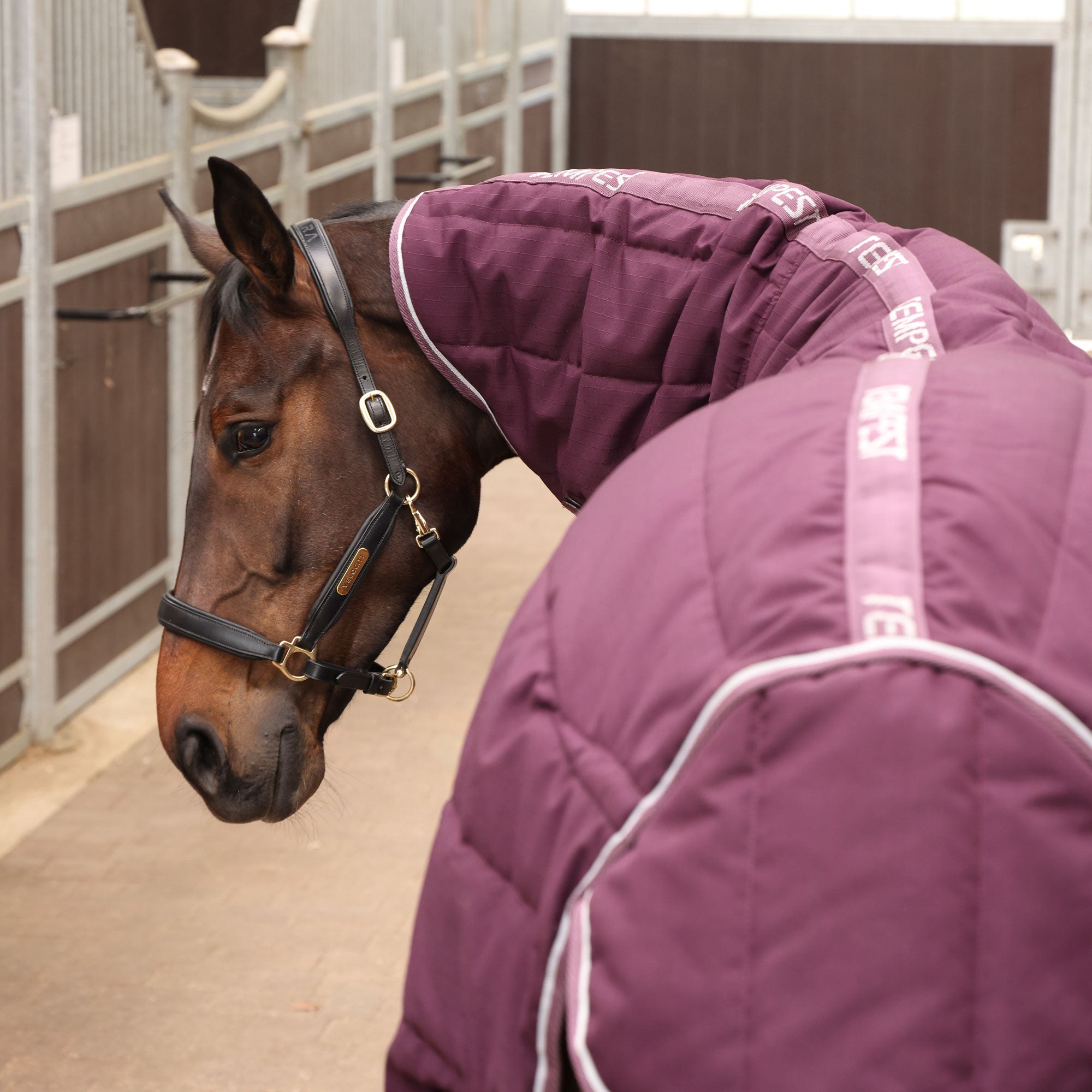 Tempest Original Stable Rug & Neck 300 g