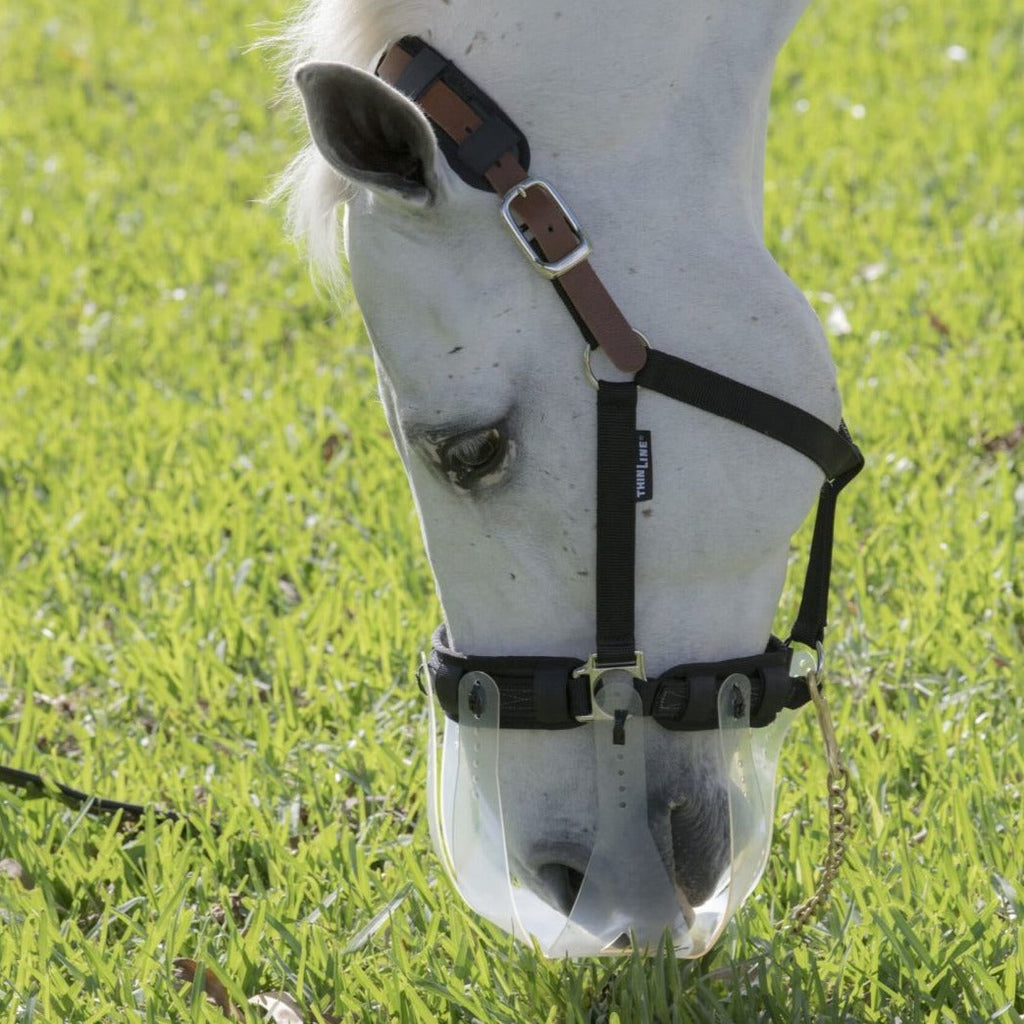 Thinline Field Safe Headcollar