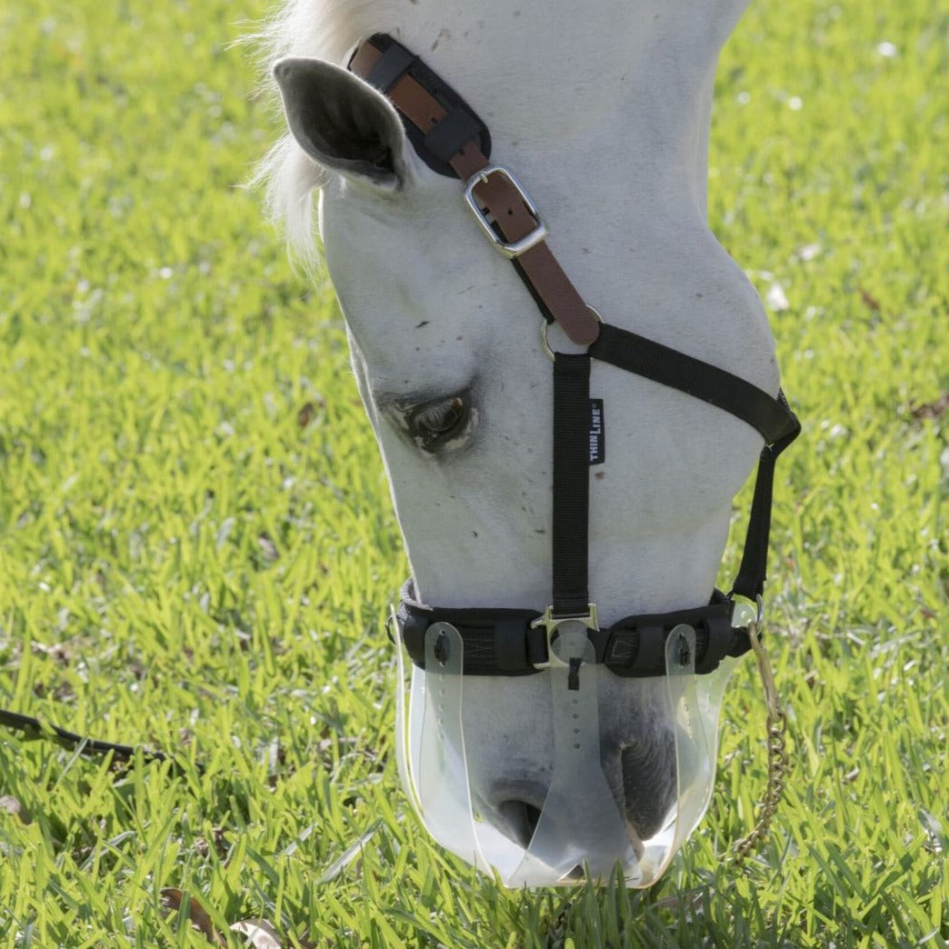 Thinline Field Safe Headcollar