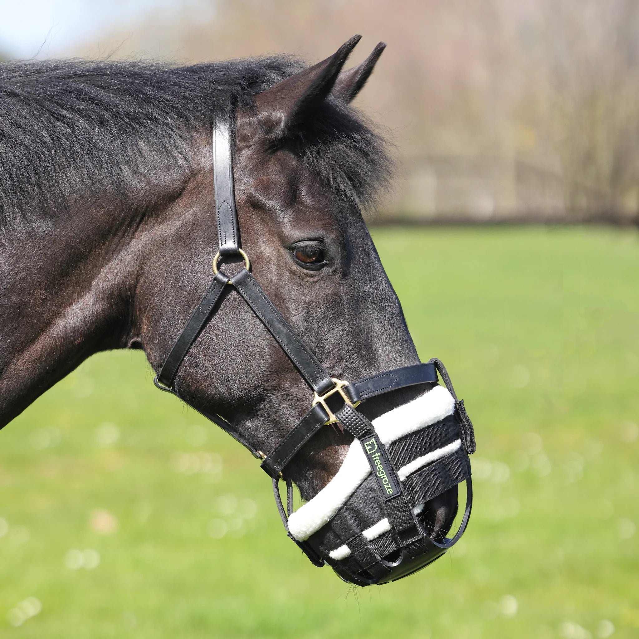 FreeGraze Deluxe AirFlow Detachable Grazing Muzzle