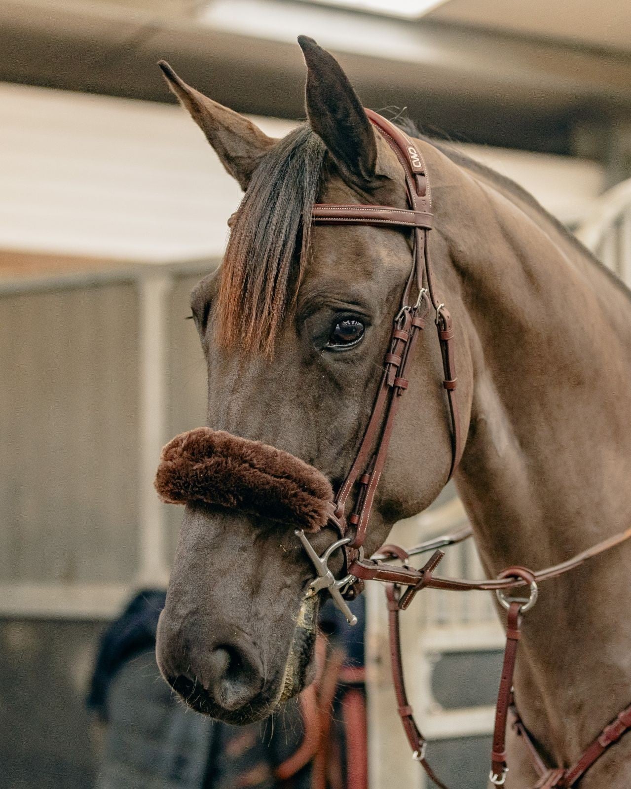 Km Elite Teddy Soft Noseband