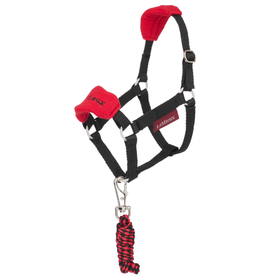 Le Mieux Hobby Horse Vogue Headcollar