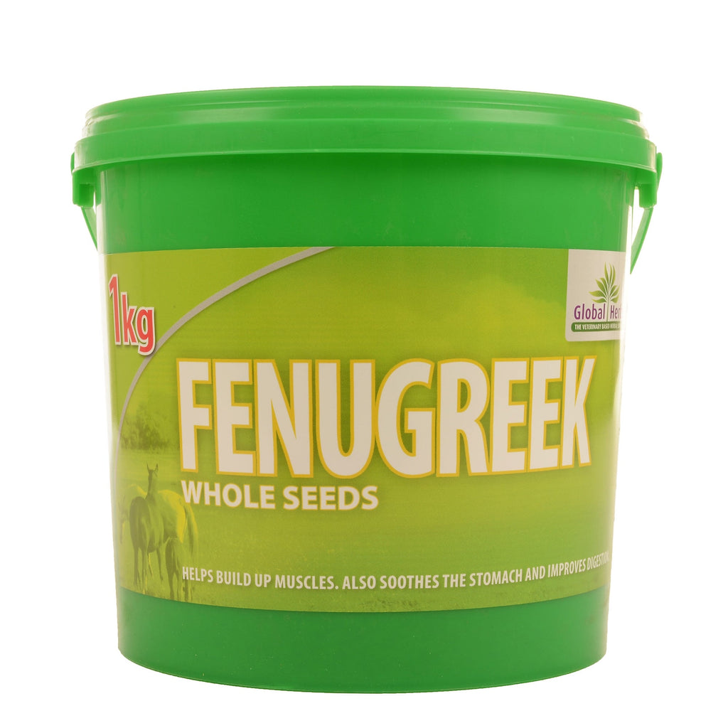 Global Herbs Fenugreek 1 kg