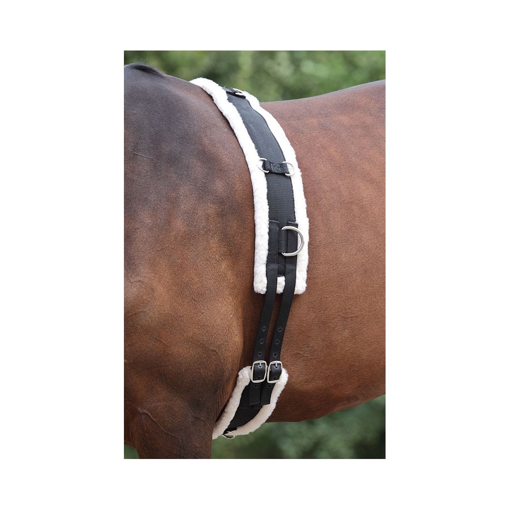 Shires Fleece Padded Lunge Roller
