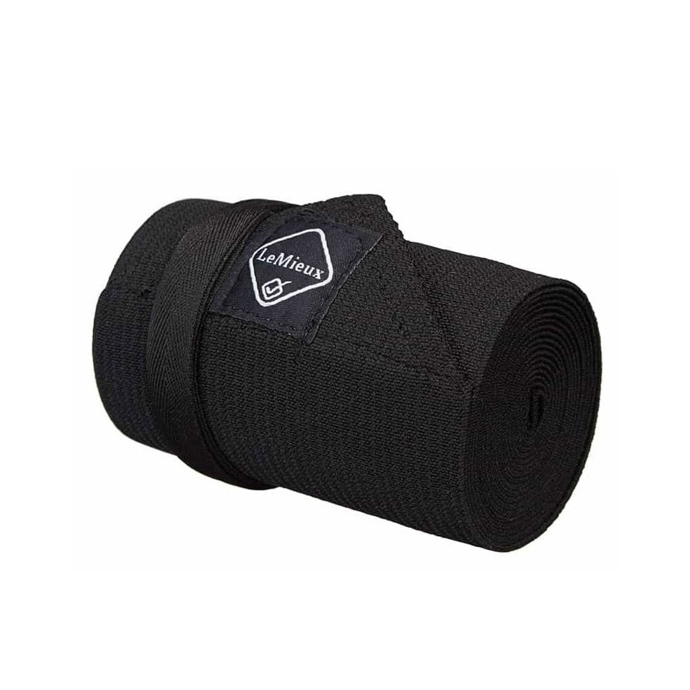 Lemieux Tail Bandage