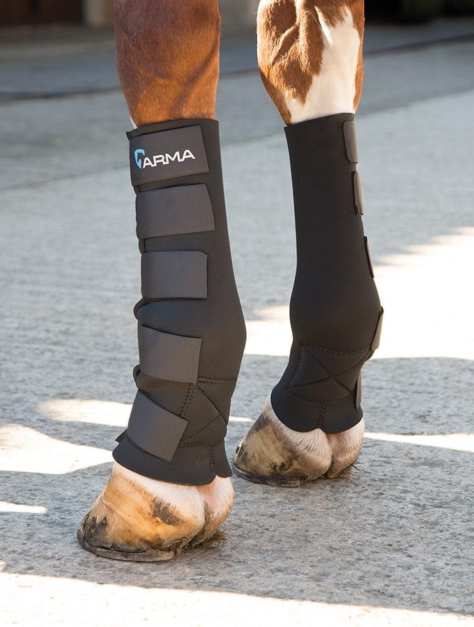Shires Arma Mud Socks - Black