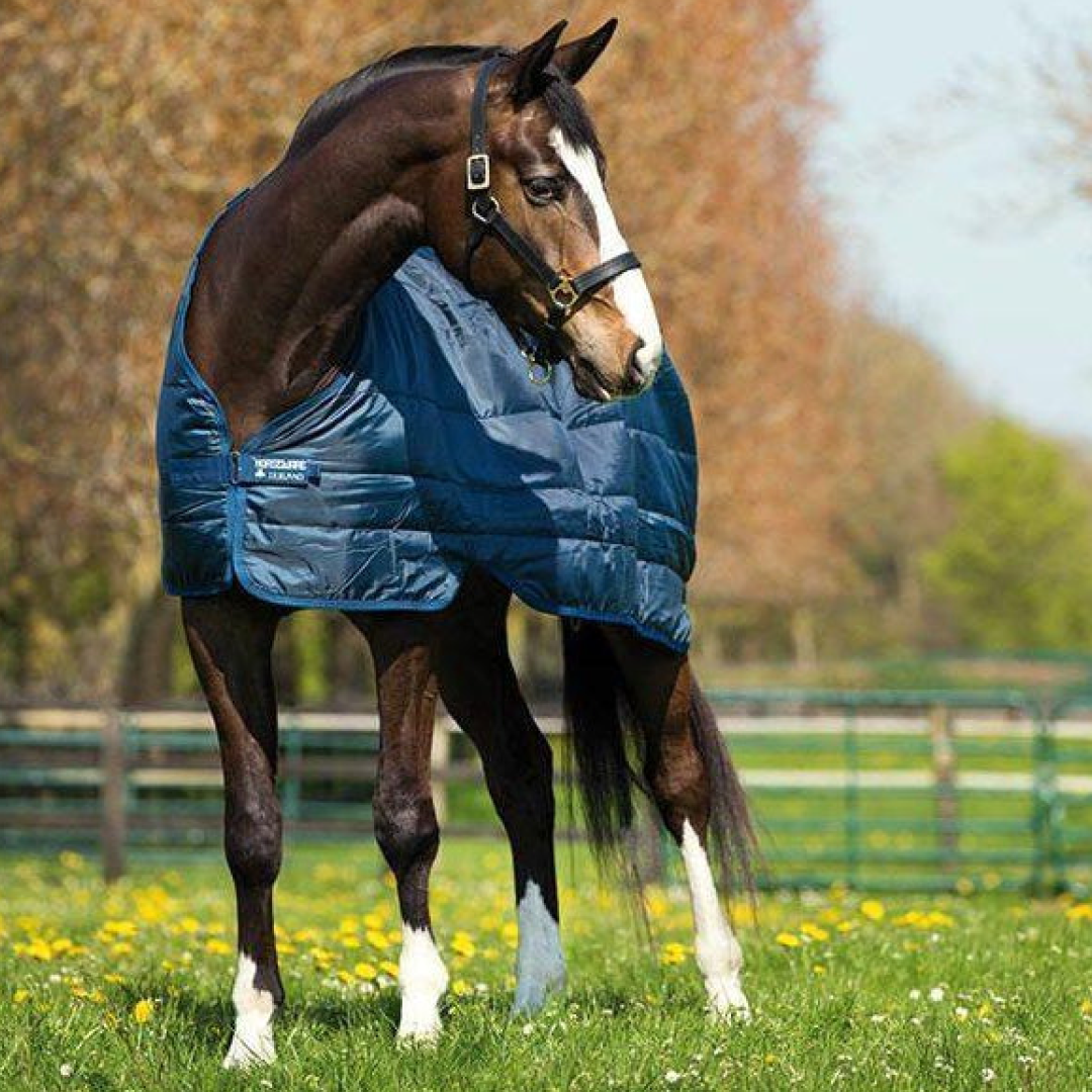Horseware Liner 100 g