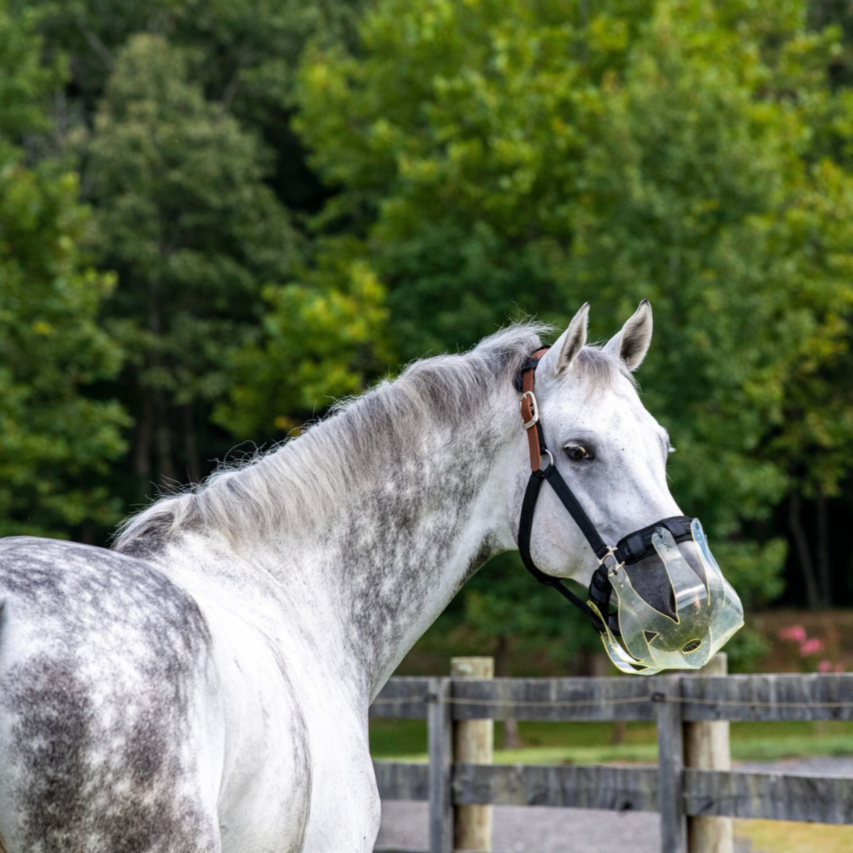 Thinline Flexible Grazing Muzzle