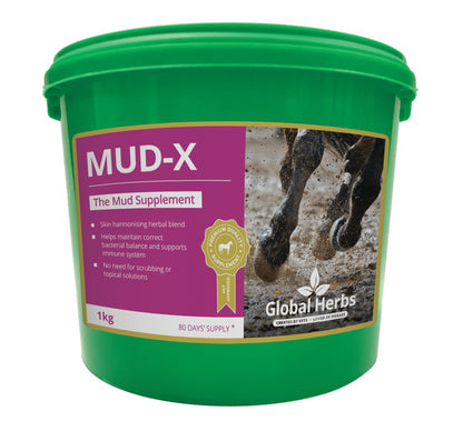 Global Herbs Mud X 1 kg