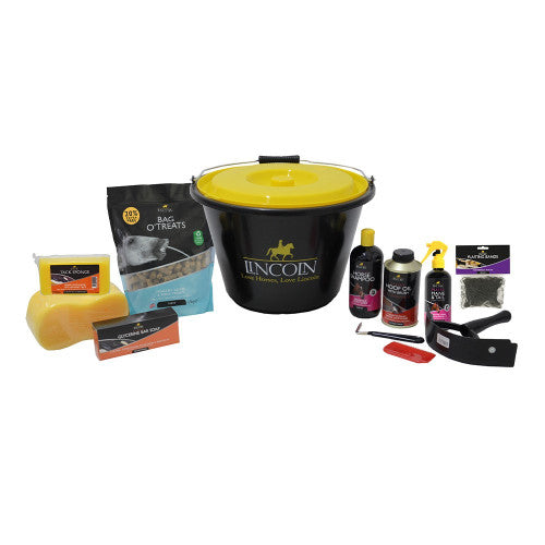 Lincoln Starter Bucket