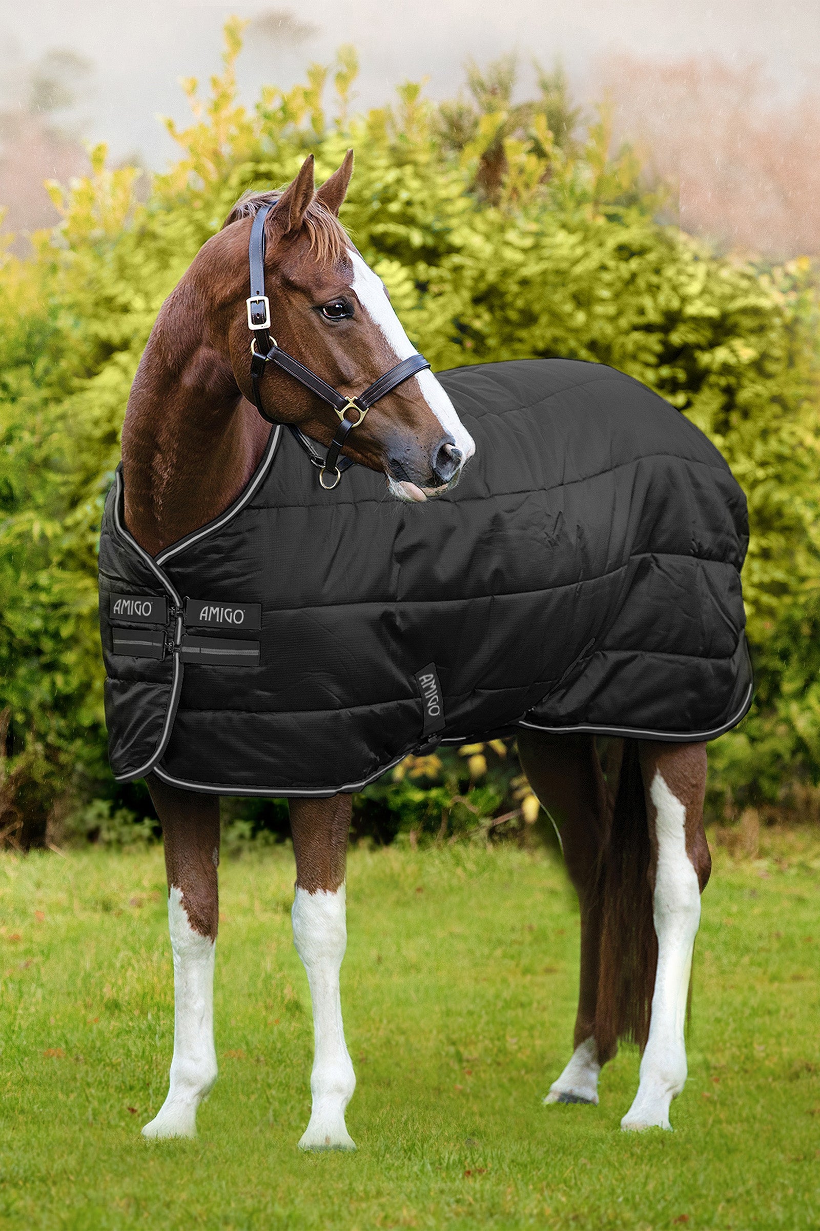 Amigo Ripstop Insulator Stable Rug 100 g