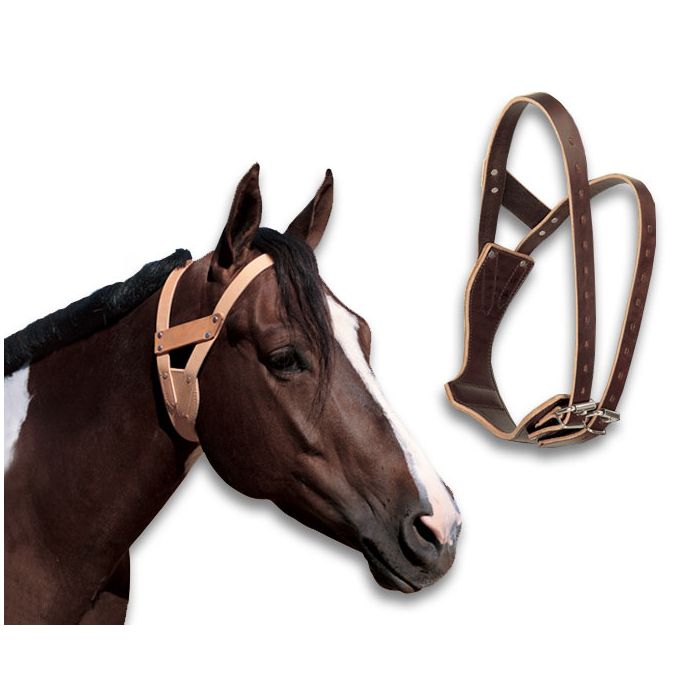 Miracle Collar L