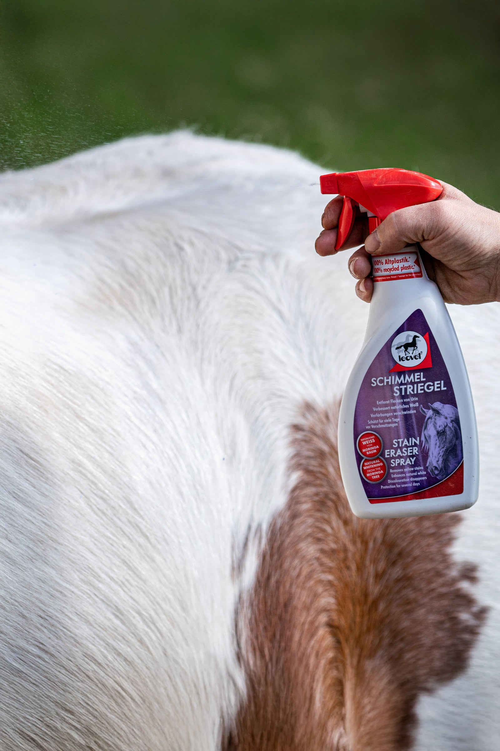Leovet Shiny White Stain Eraser 500 ml (Shampoo)