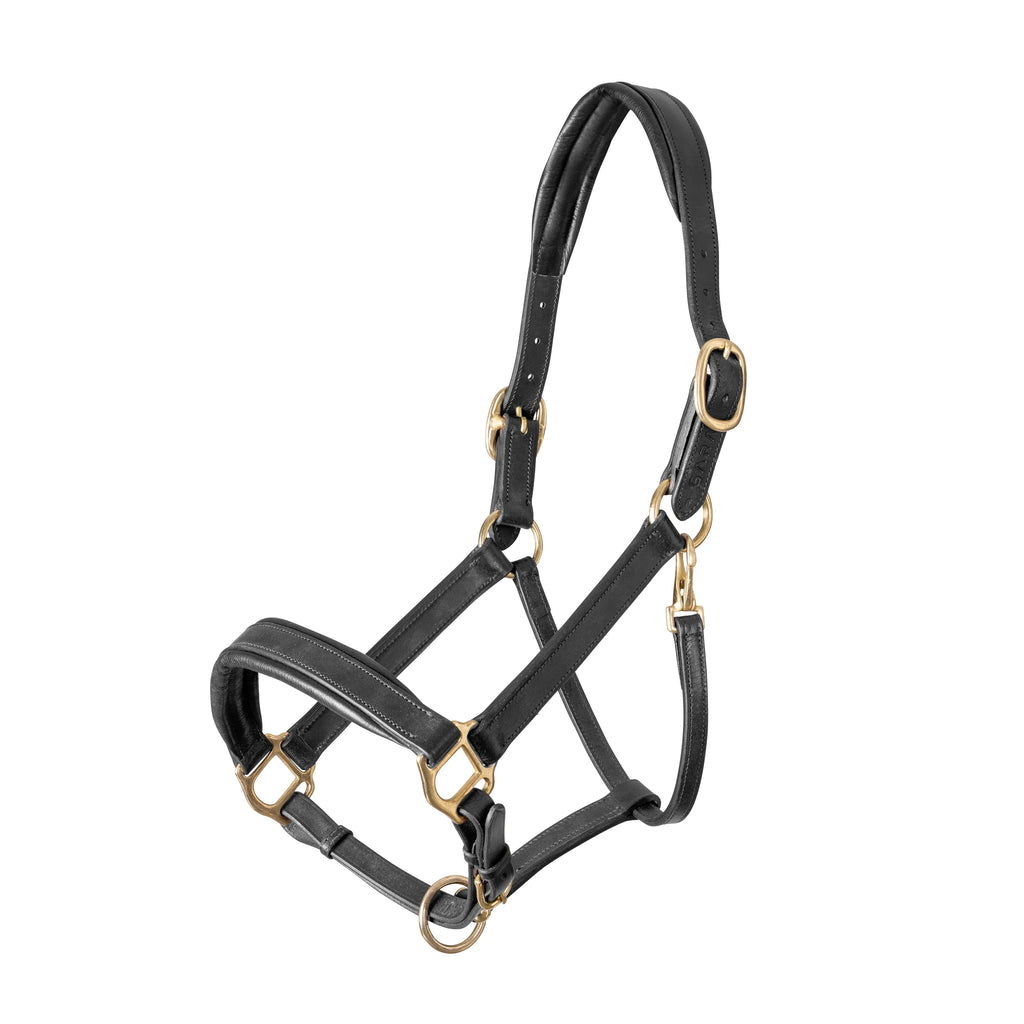 Shires Velociti GARA Leather Travel Headcollar