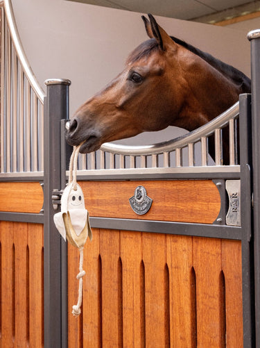 Lemieux Banana Horse Toy