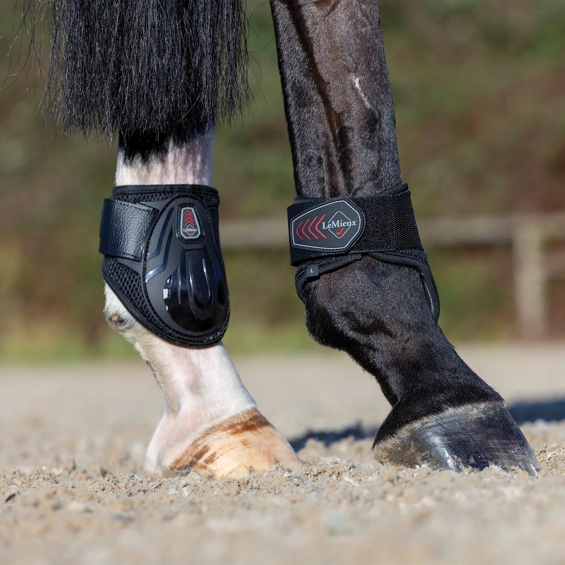 Le Mieux Derby Projump Tendon Boots