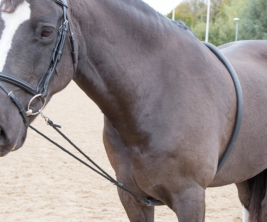 SHIRES SOFT LUNGING AID