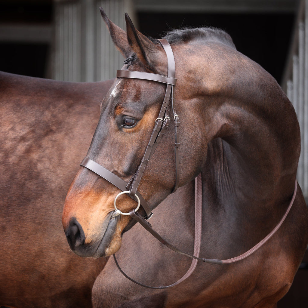 Velociti Gara Plain Bridle
