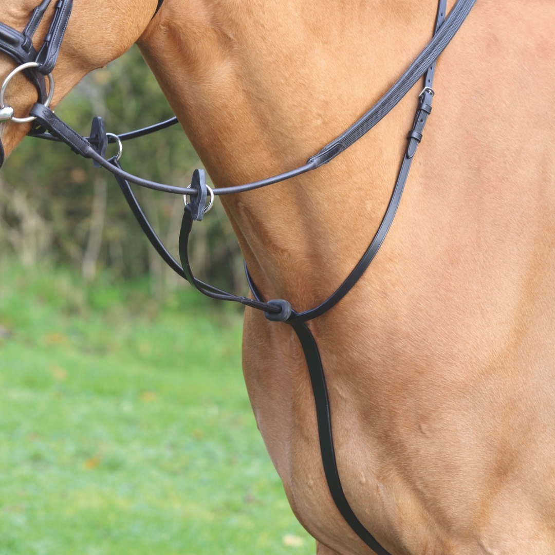 Shires Velociti Gara Running Martingale
