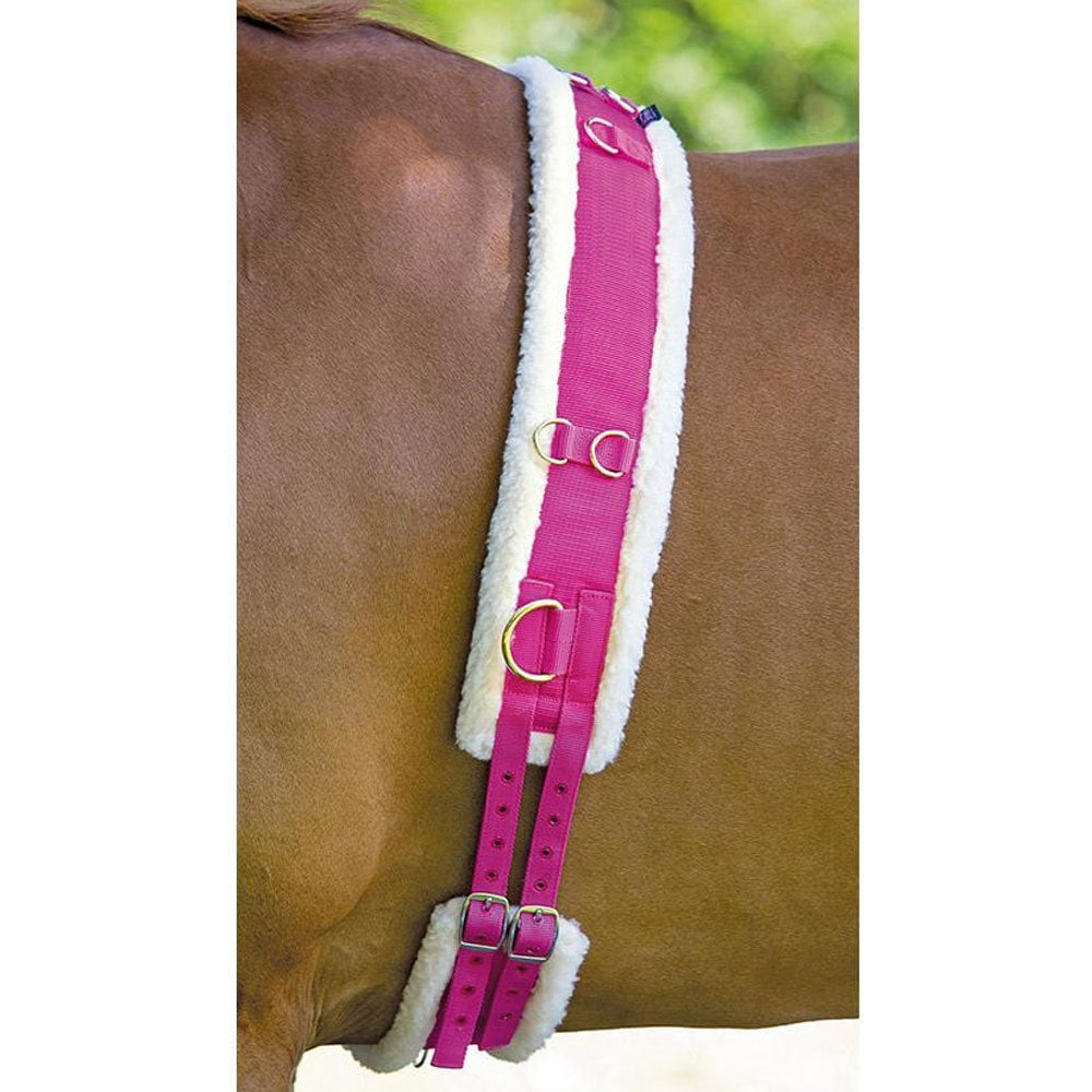Shires Fleece Padded Lunge Roller