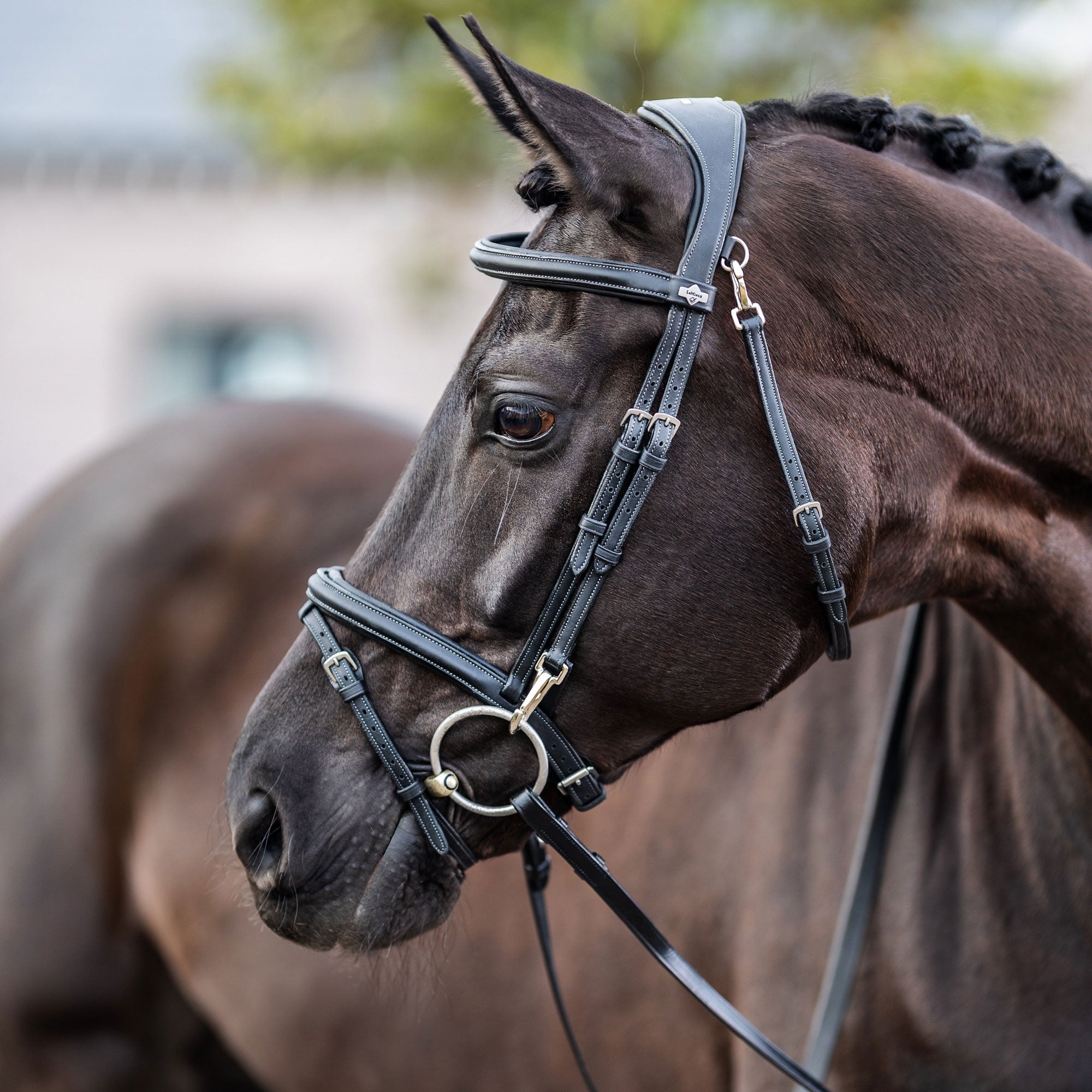 Le Mieux Work Bridle