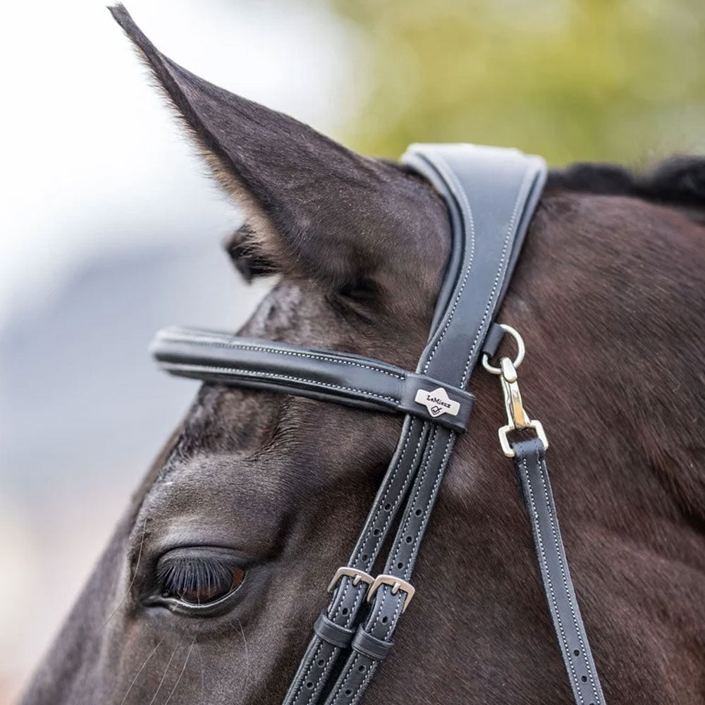 Le Mieux Work Bridle