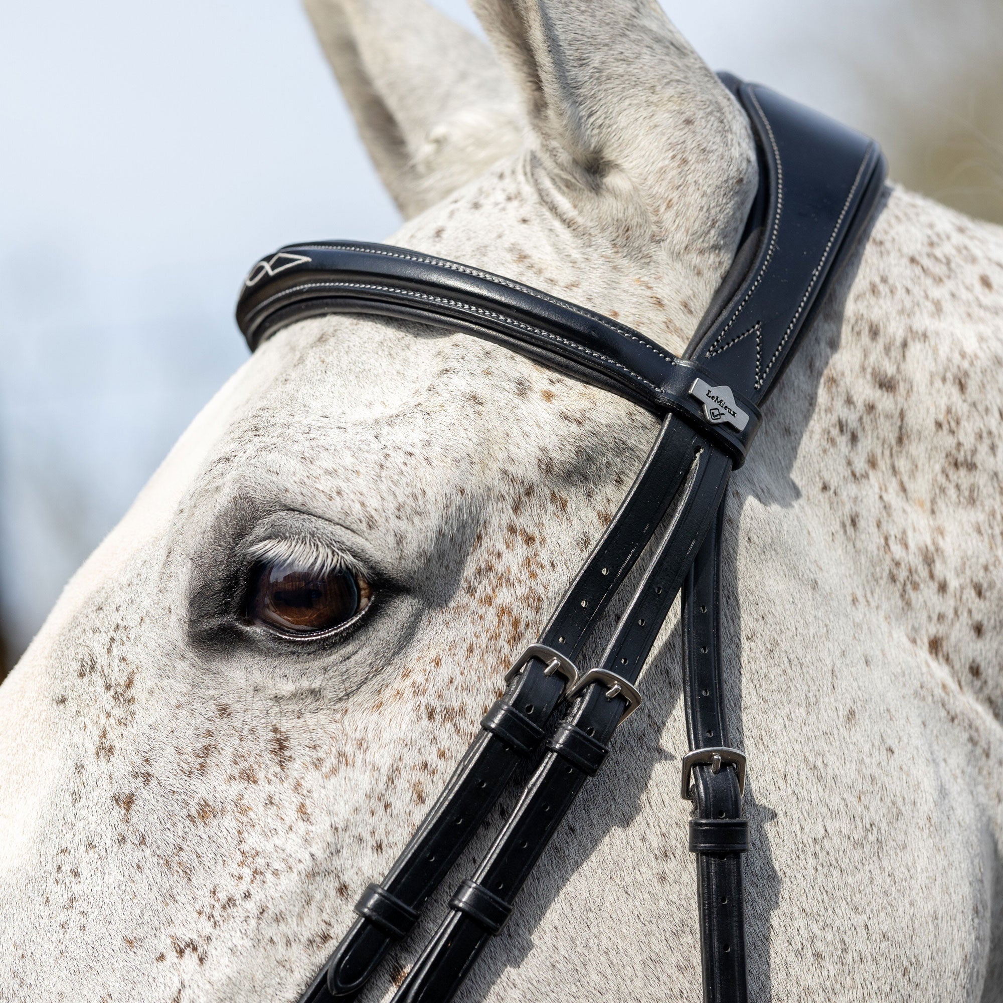 Le Mieux Competition Flash Bridle