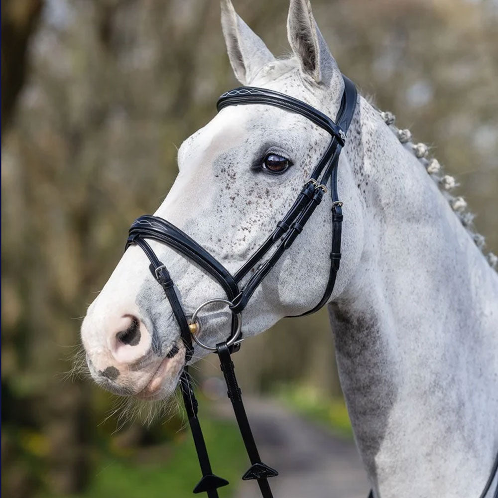 Le Mieux Competition Flash Bridle