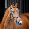 Lusso Rolled Padded Cavesson Bridle