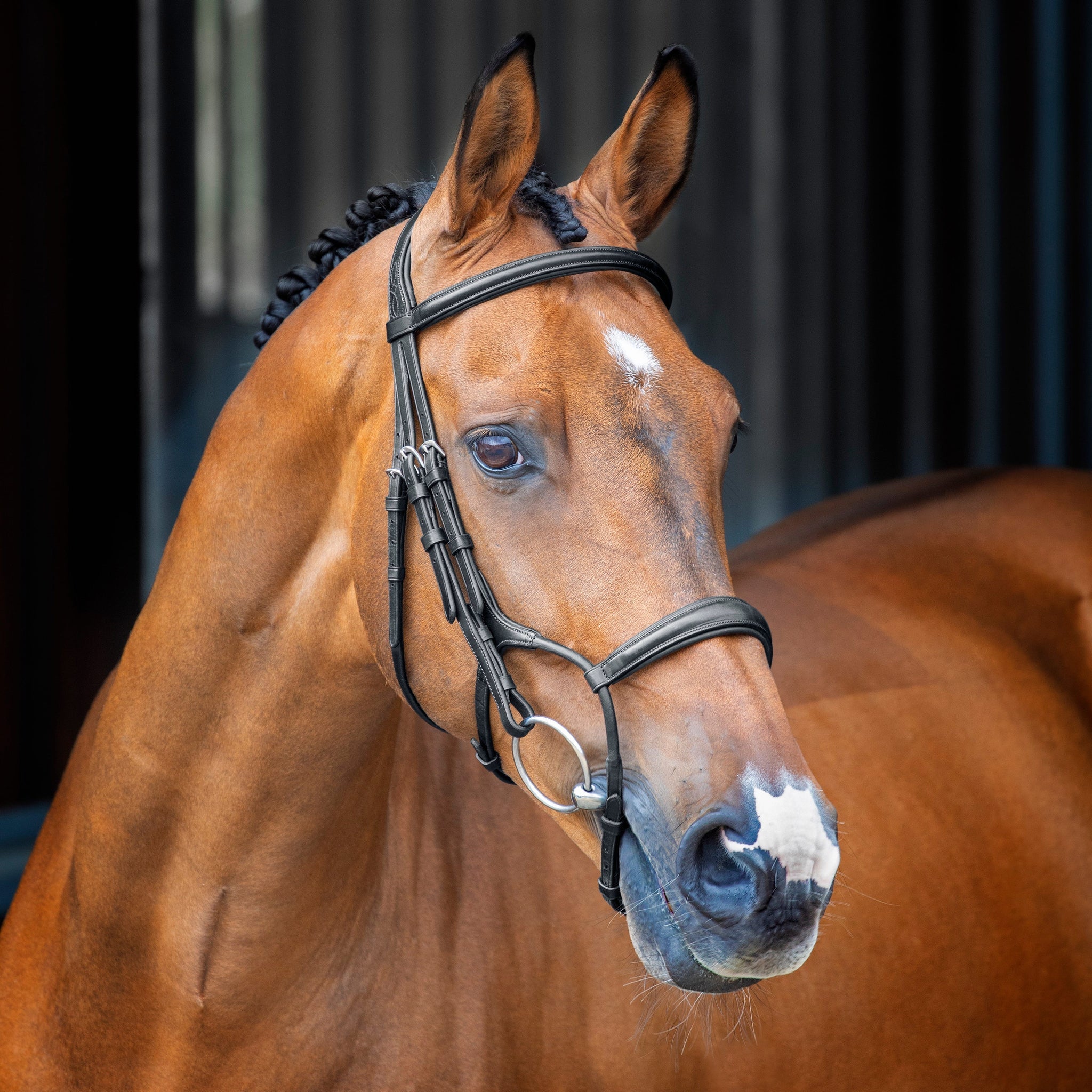 Lusso Rolled Padded Cavesson Bridle