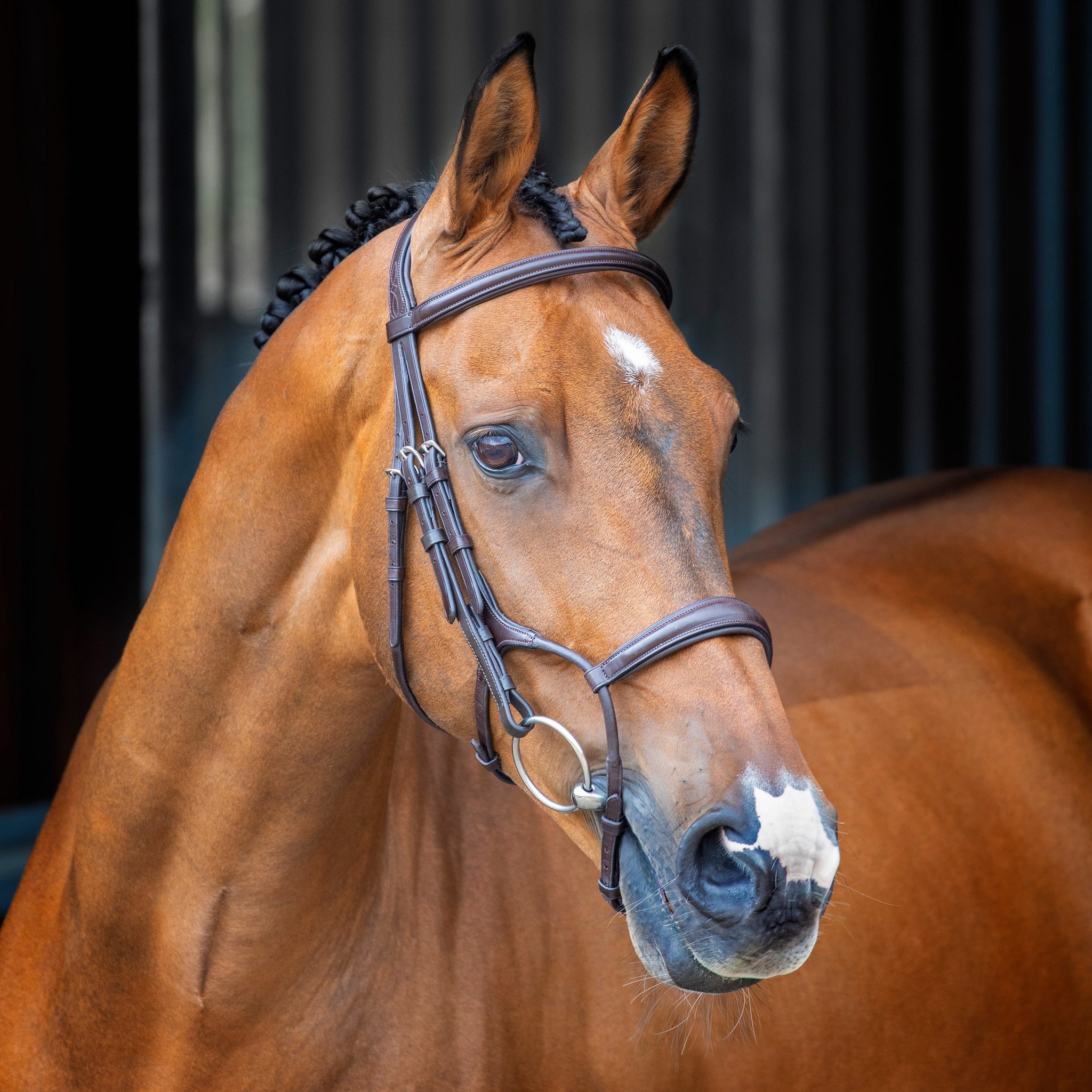 Lusso Rolled Padded Cavesson Bridle