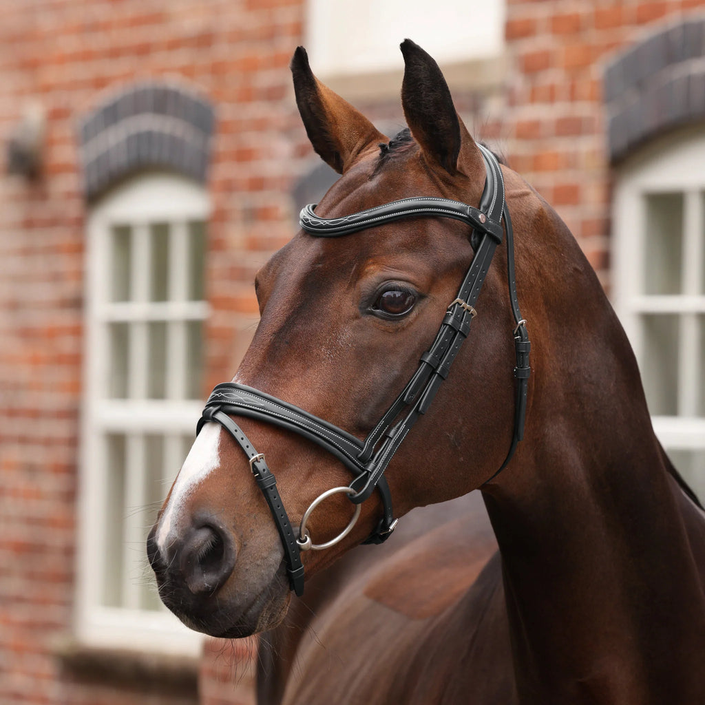 Velociti Lusso Opus 180M Padded Flash Bridle
