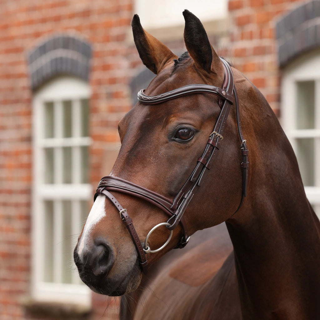 Velociti Lusso Opus 180M Padded Flash Bridle