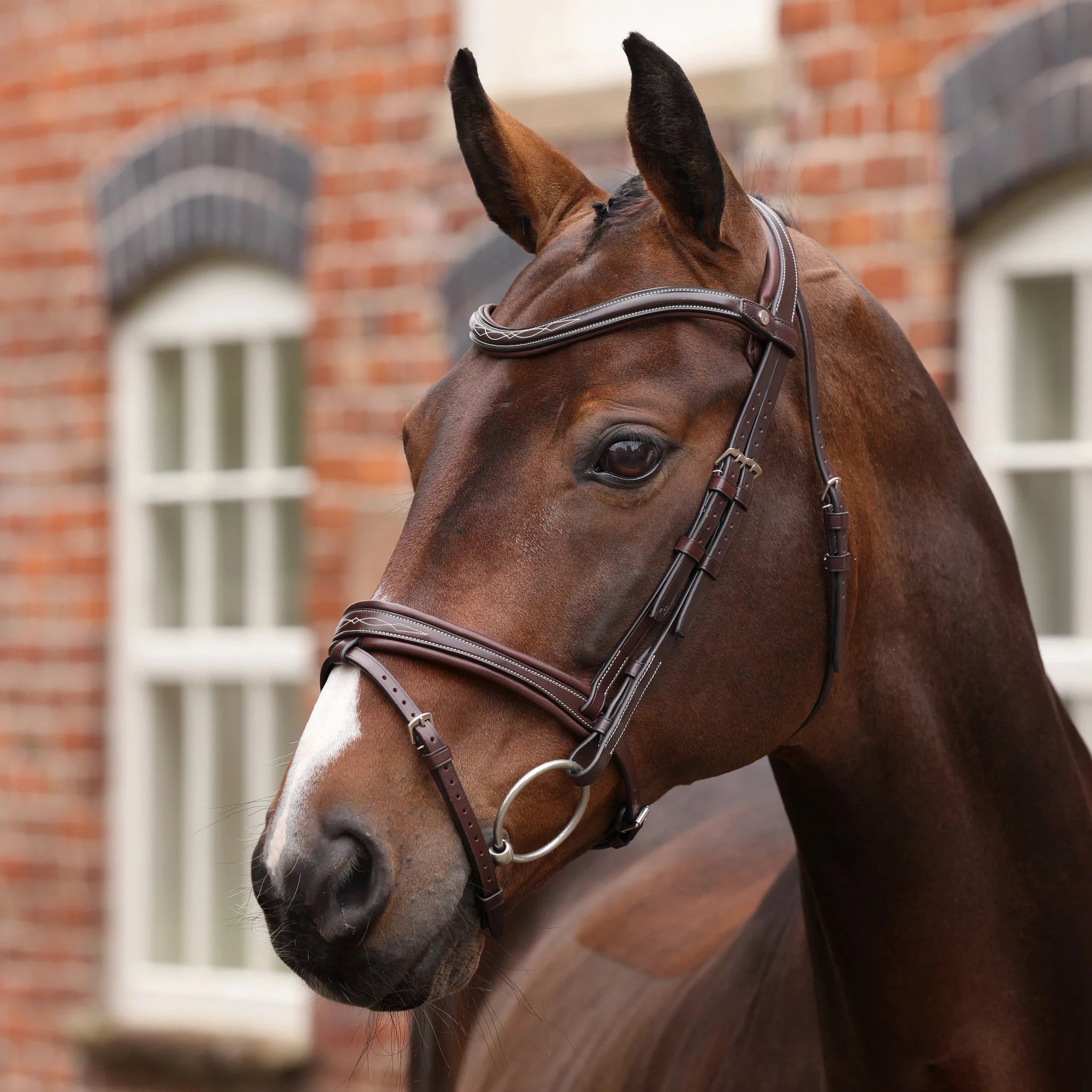 Velociti Lusso Opus 180M Padded Flash Bridle