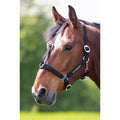 Greenguard Horse Headcollar