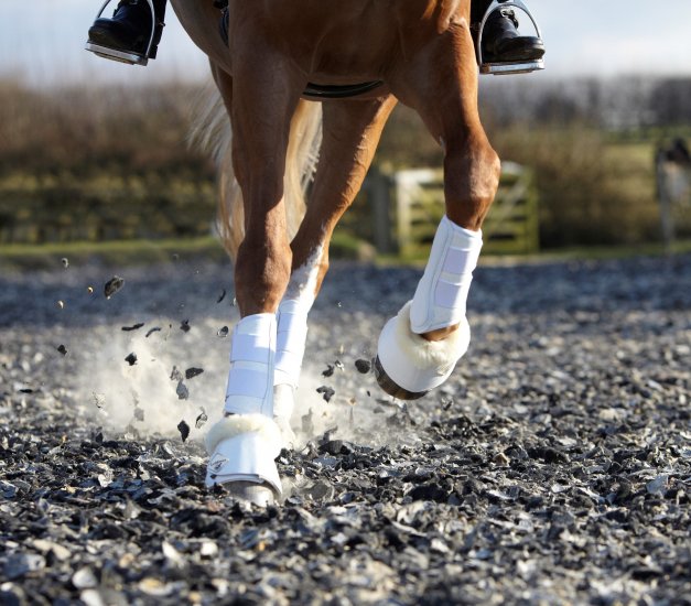 Le Mieux Lambskin Wraparound Overreach Boots