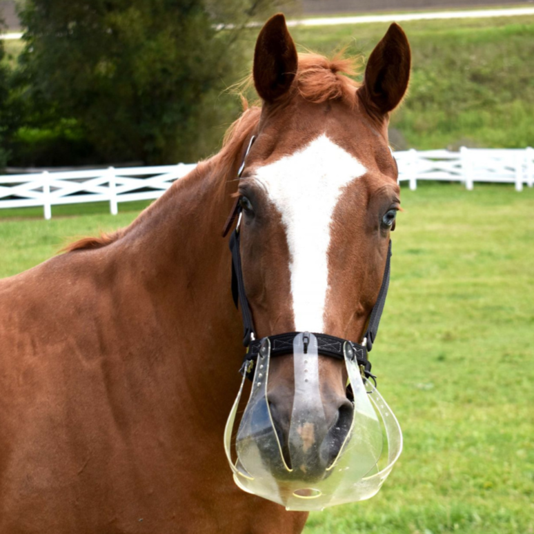 Thinline Flexible Grazing Muzzle