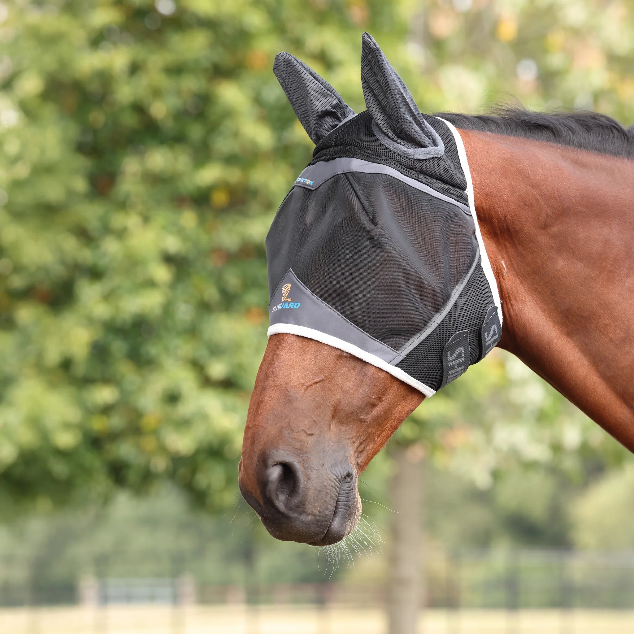 Air Motion Fly Mask With Ears