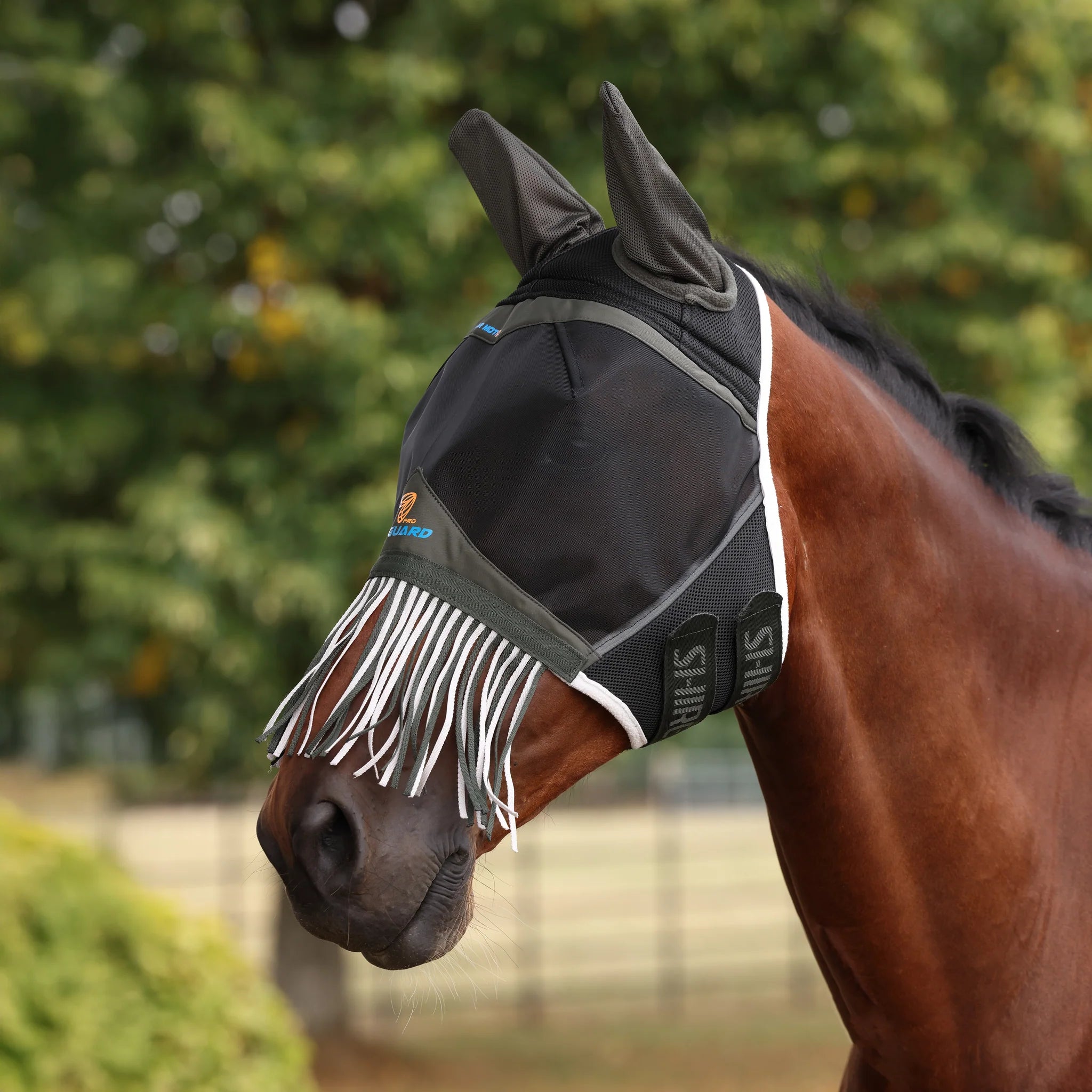 Air Motion Fly Mask With Ears & Fringe
