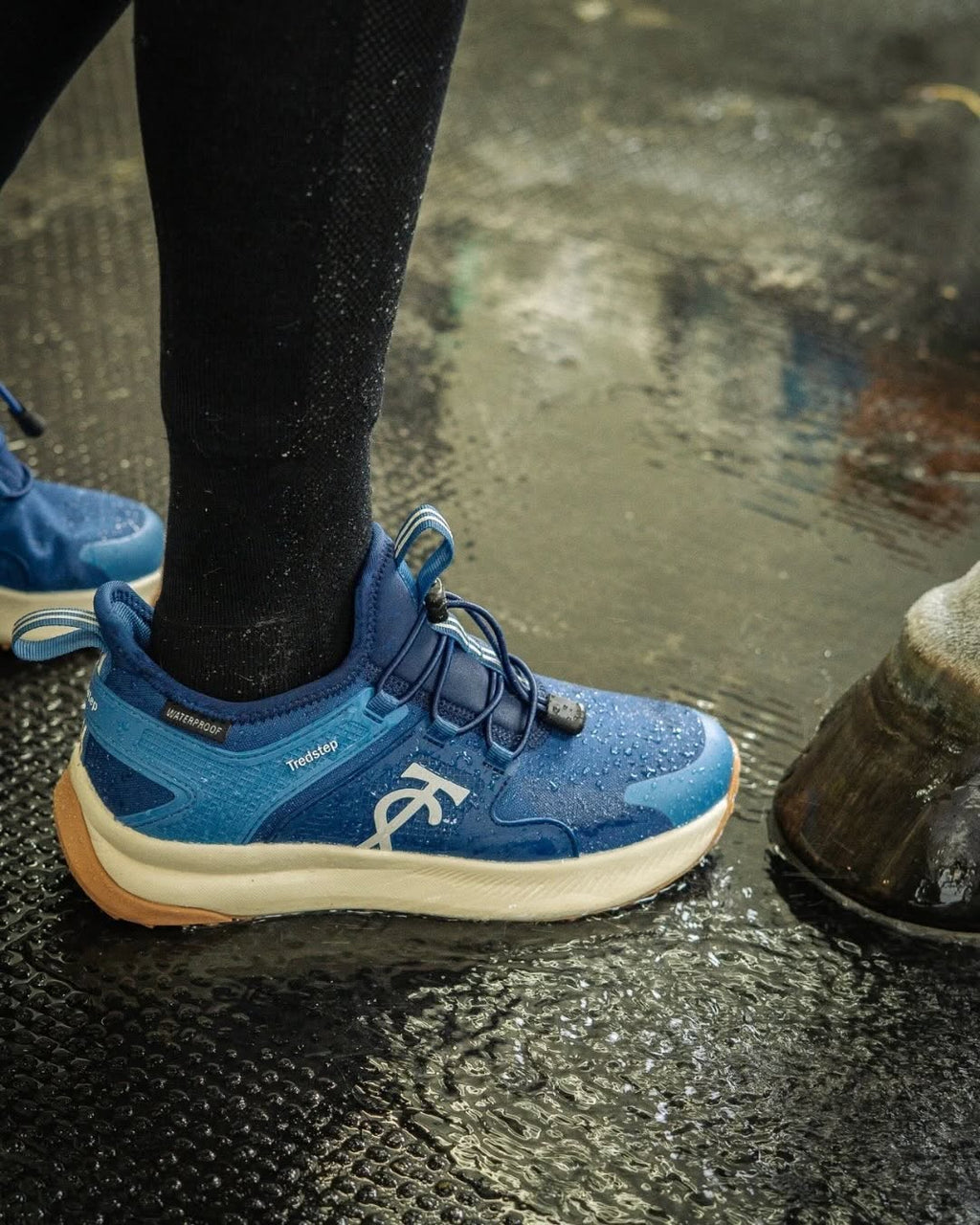 Tredstep Motion-T Trainers