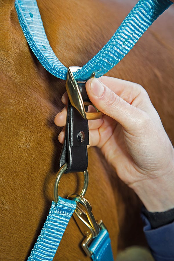Velociti Gara Headcollar Breakaway Attachment