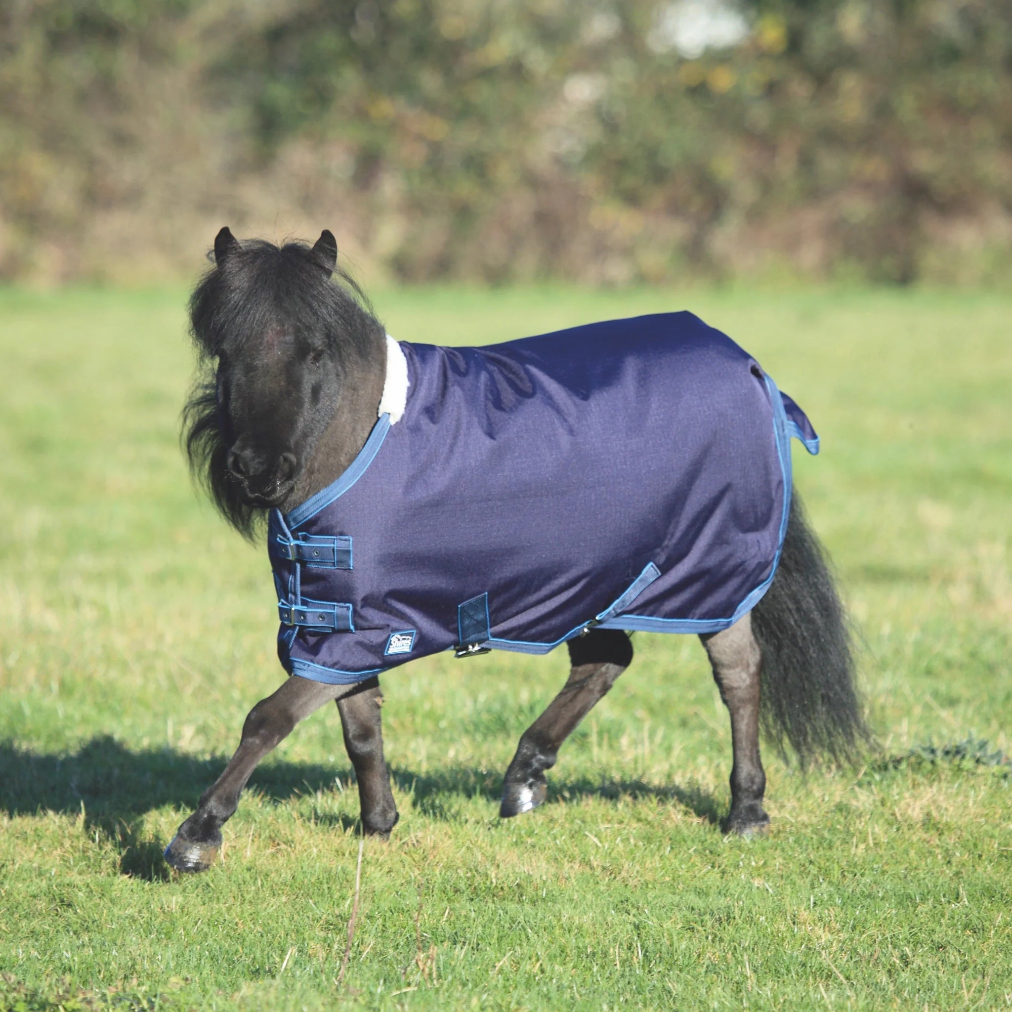 Tempest Original Lite Mini Turnout